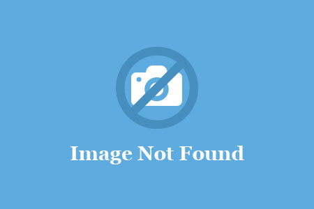 无限视频资源下载免费观看丝瓜app成（今日)